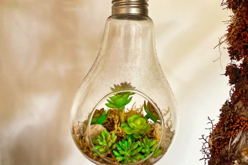 Alternatieve Energie Min